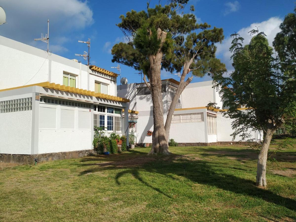 Helios Studio Drago Costa Del Silencio Exterior photo